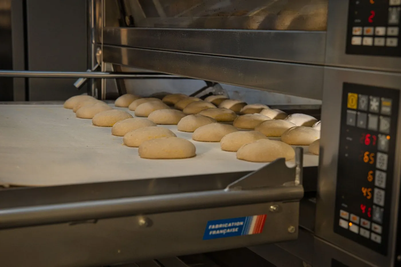 Horno industrial europeo con capacidad productiva para una categoría alimentaria