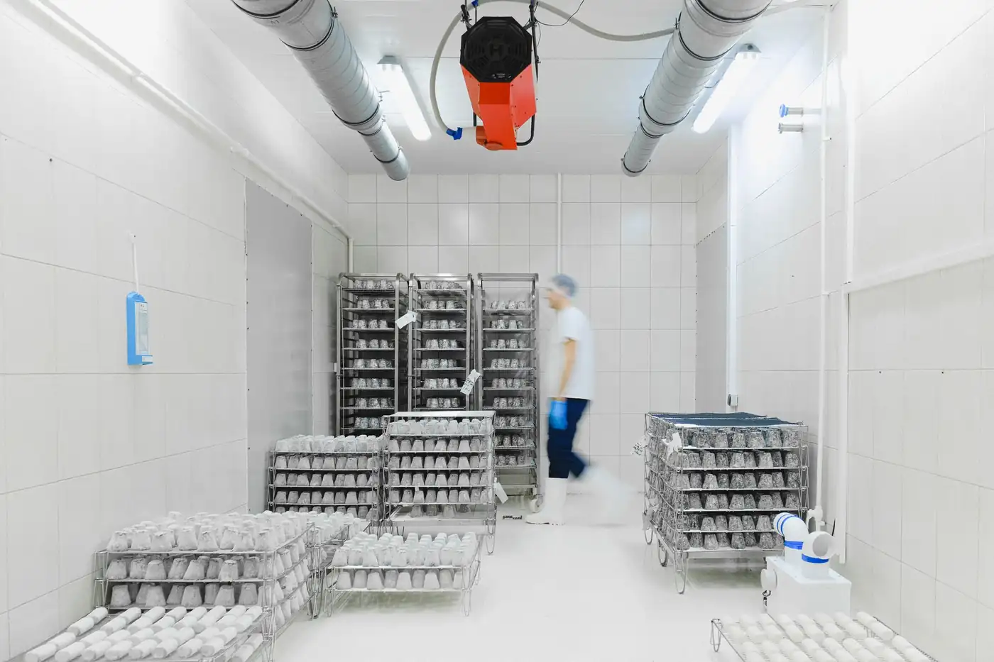 Cámara de almacenamiento para producto refrigerado o congelado de distribución profesional