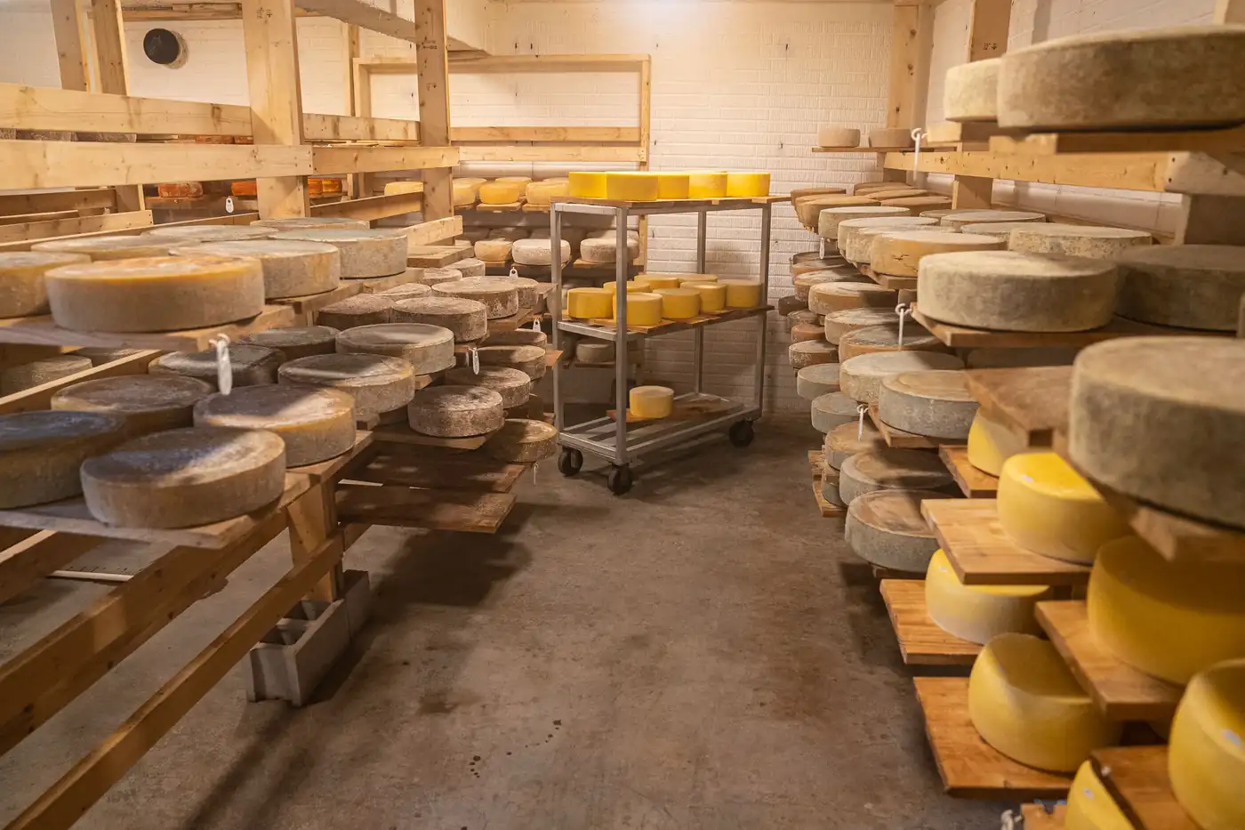 Producto almacenado en cámara como prueba de conservación en la distribución alimentaria